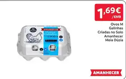 Amanhecer Ovos de galinhas criadas no solo amanhecer promoção