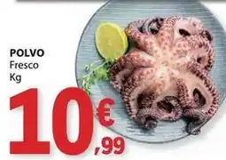 E.Leclerc Polvo promoção