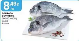 Intermarché Dourada de viveiro promoção