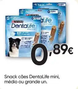 Froiz Snack cães DentaLife promoção