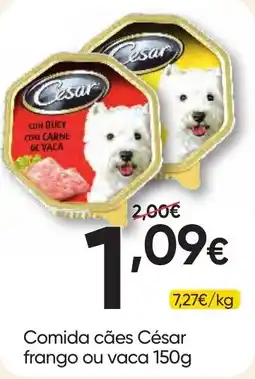 Froiz comida cães césar frango ou vaca promoção