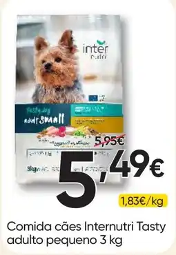 Froiz comida cães internutri tasty adulto pequeno promoção