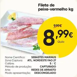 Froiz Filete de peixe-vermelho promoção