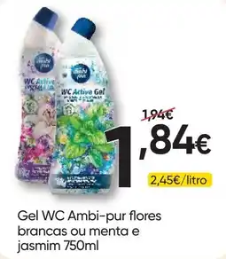 Froiz Gel wc ambi-pur flores brancas ou menta e jasmim promoção