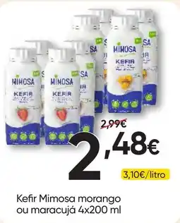Froiz Kefir mimosa morango ou maracujá promoção