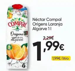 Froiz Néctar compal origens laranja algarve 1 l promoção