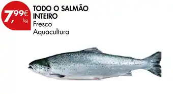Todo o salmão inteiro