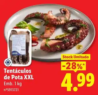 Tentáculos de Pota XXL