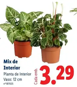 Lidl Mix de interior promoção
