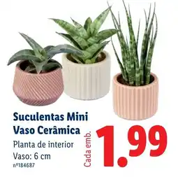 Lidl Suculentas Mini Vaso Cerâmica promoção