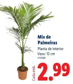 Lidl Mix de Palmeiras promoção
