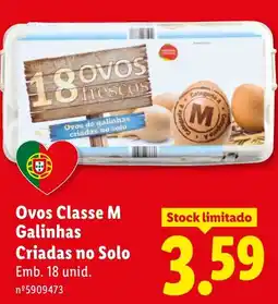 Lidl Ovos Classe M promoção