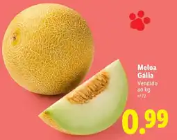 Lidl Meloa Gália promoção