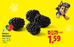 Lidl Amora Nacional promoção