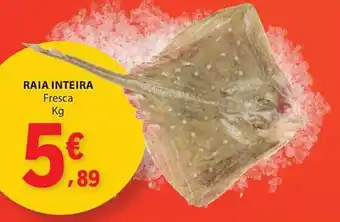 E.Leclerc Raia inteira promoção