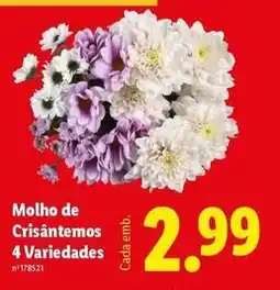 Lidl Molho de crisantemos promoção