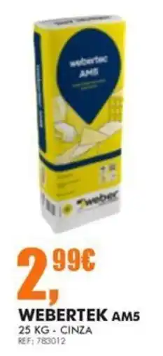 Armazéns Reis webertek am5 promoção