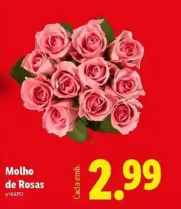 Lidl Molho de rosas promoção
