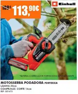 Armazéns Reis Einhell Motosserra Podadora Fortezza promoção
