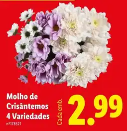 Lidl Molho de Crisântemos 4 Variedades promoção