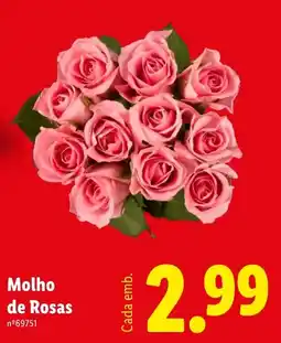 Lidl Molho de Rosas promoção