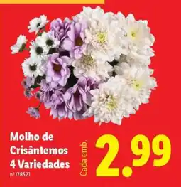 Lidl Molho de Crisântemos 4 Variedades promoção