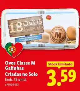 Lidl Ovos Classe M Galinhas Criadas no Solo promoção