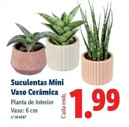 Lidl Suculentas Mini Vaso Cerâmica promoção