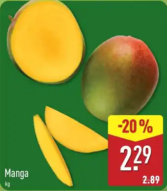 Manga