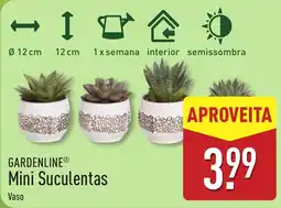ALDI Gardenline mini suculentas vaso promoção