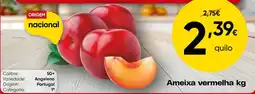 Froiz Ameixa vermelha promoção