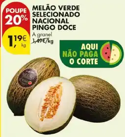 Pingo Doce melão verde selecionado pingo doce promoção