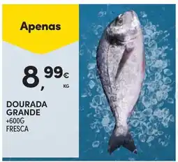 Continente Dourada grande fresca promoção