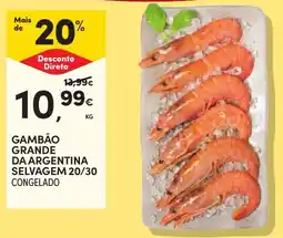 Continente Gambão grande da argentina selvagem 20/30 congelado promoção