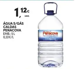 Continente Água s/gás caldas penacova promoção