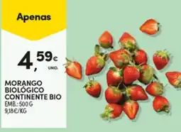 Continente Morango biológico continente bio promoção