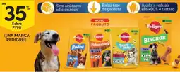 Continente Pedigree Biscrok promoção