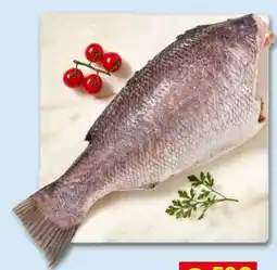Recheio Ocean Sea peixe promoção