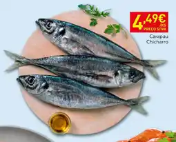 Recheio Carapau Chicharro promoção