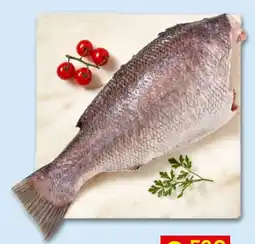 Recheio Peixe fresco promoção