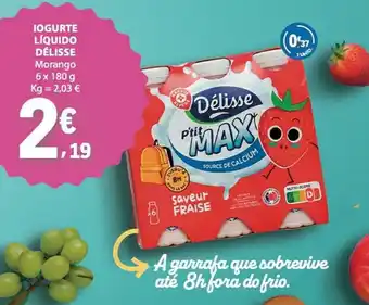 Iogurte líquido délisse