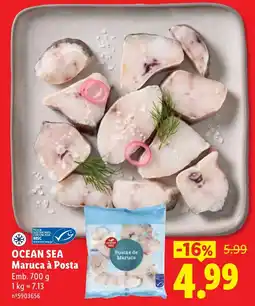 Lidl Ocean Sea Maruca à Posta promoção