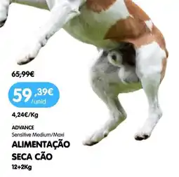 Petoutlet advance alimentação seca cão promoção