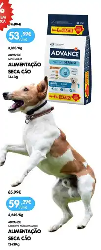 Petoutlet advance maxi adult alimentação seca cão promoção