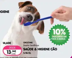 Petoutlet Orozyme snacks dentífricos saúde & higiene cão promoção