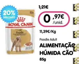 Petoutlet royal canin poodle adult promoção