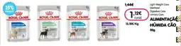Petoutlet Alimentaçã húmida cão promoção