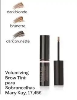 Mary Kay Volumizing Brow Tint para Sobrancelhas Mary Kay promoção