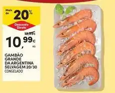 Continente Bom dia Gambão grande da argentina selvagem 20/30 promoção