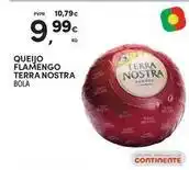 Continente Bom dia Terra nostra - queijo flamengo promoção